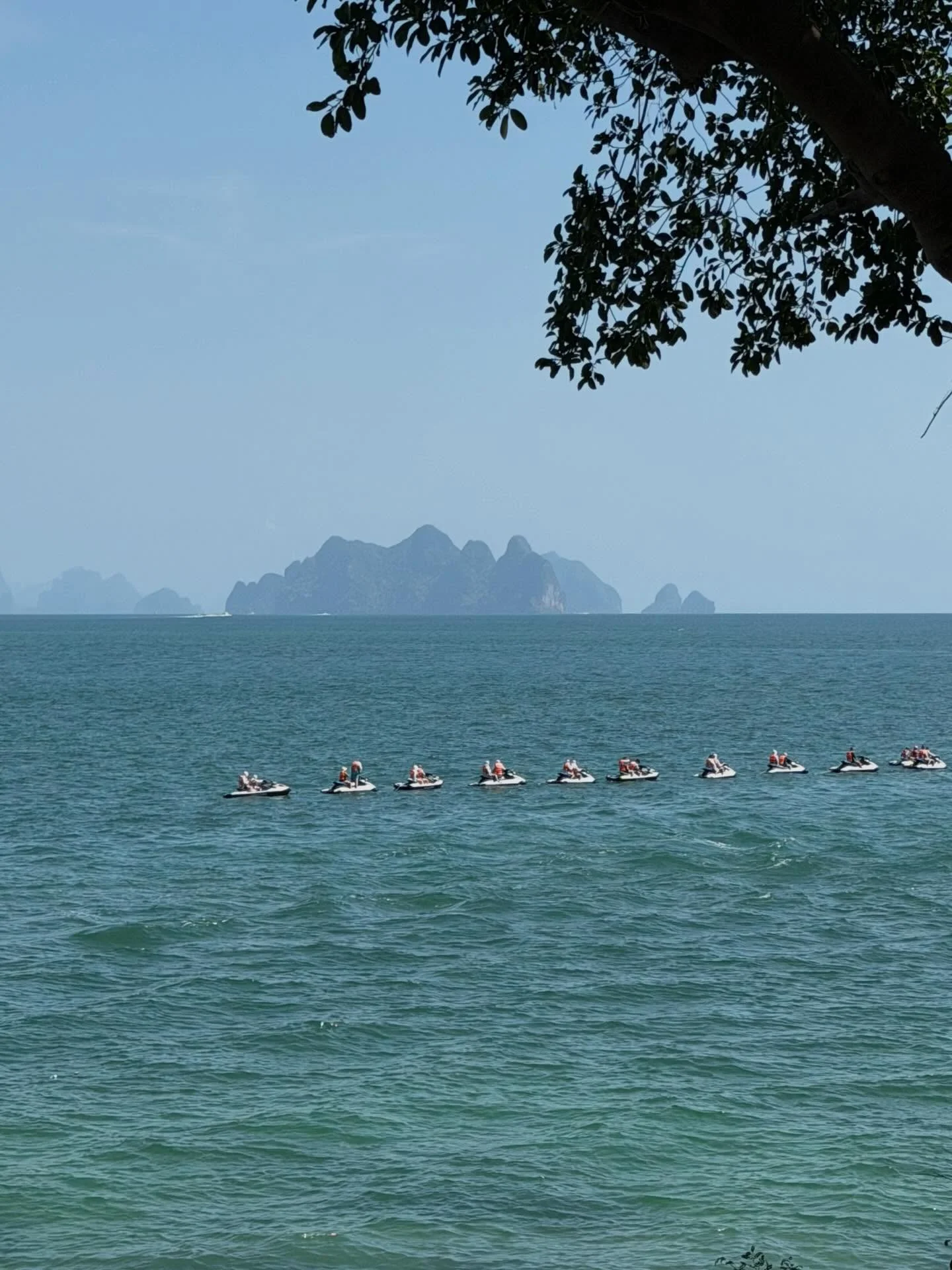 Photo by Amanda Obdam on March 17, 2026. May be an image of flamingo, kayak, outdoors and text.