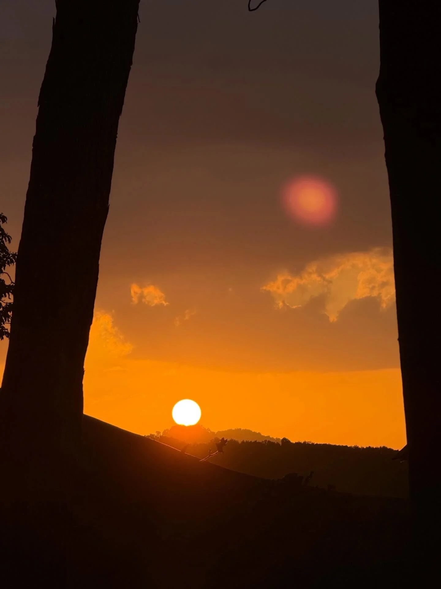 Photo by Amanda Obdam on March 18, 2026. May be an image of nature, eclipse, twilight, horizon, tree and text.