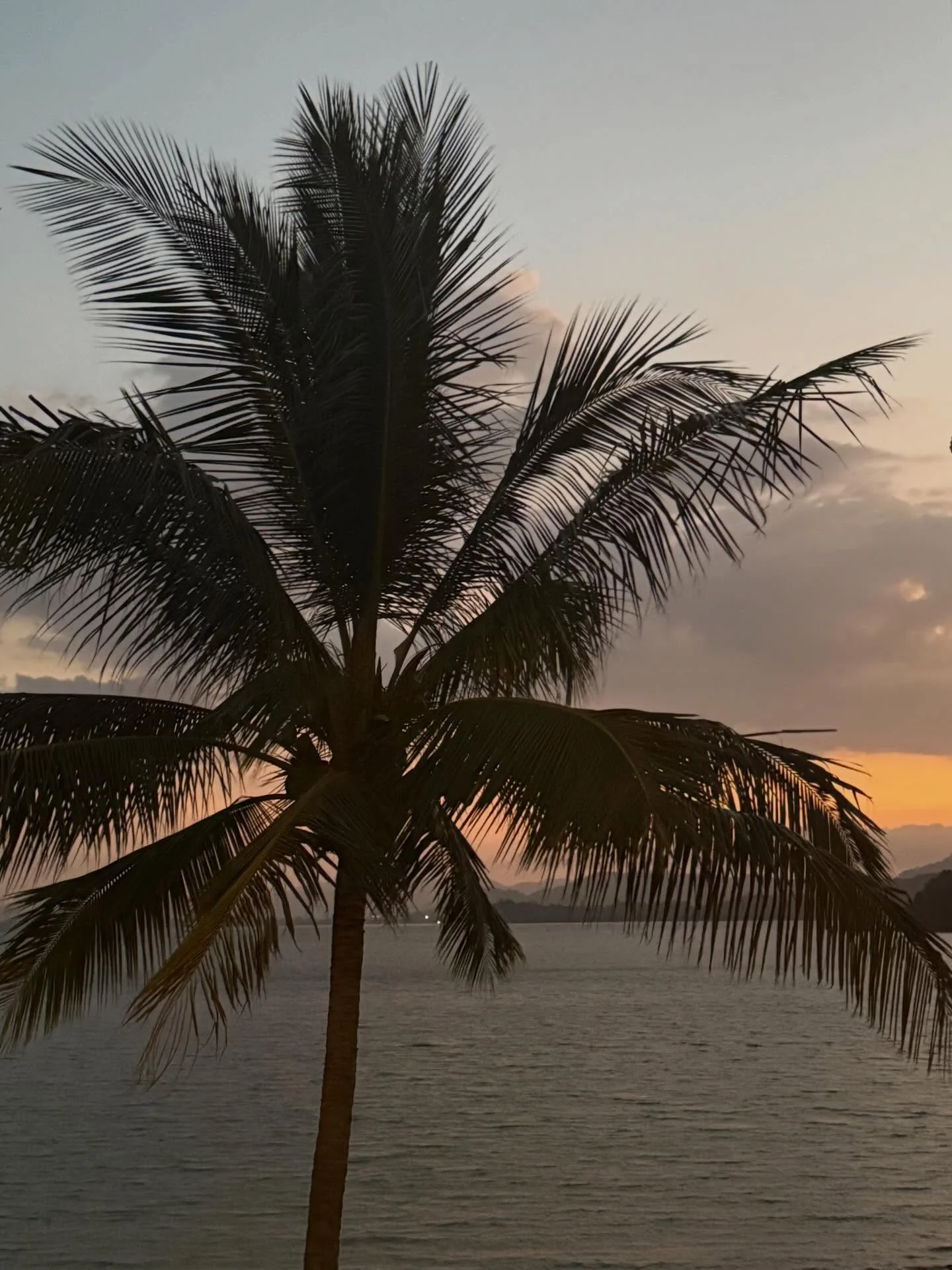 Photo by Amanda Obdam on March 20, 2026. May be an image of horizon, twilight, ocean, palm trees and text.