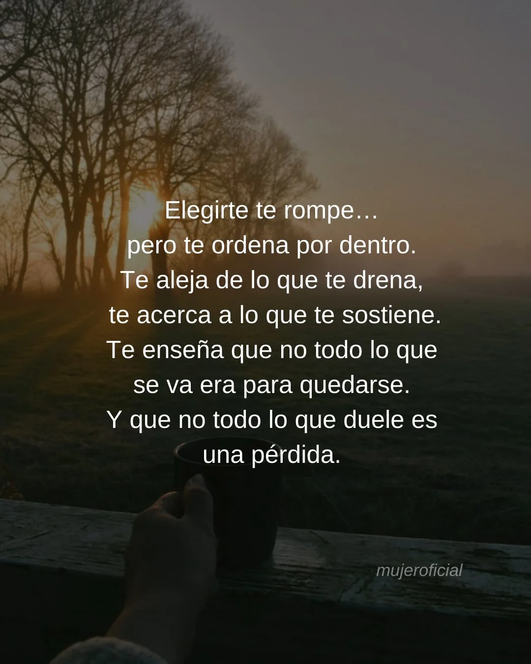 Photo by Amor Liviano on March 05, 2026. May be a meme of pie and text that says 'Elegirte te rompe... pero te ordena por dentro. Te aleja de lo que drena, te acerca a lo que te sostiene. Te enseña que no todo lo que se va era para quedarse. Y que no todo lo que duele es una pérdida. mujeroficial'.