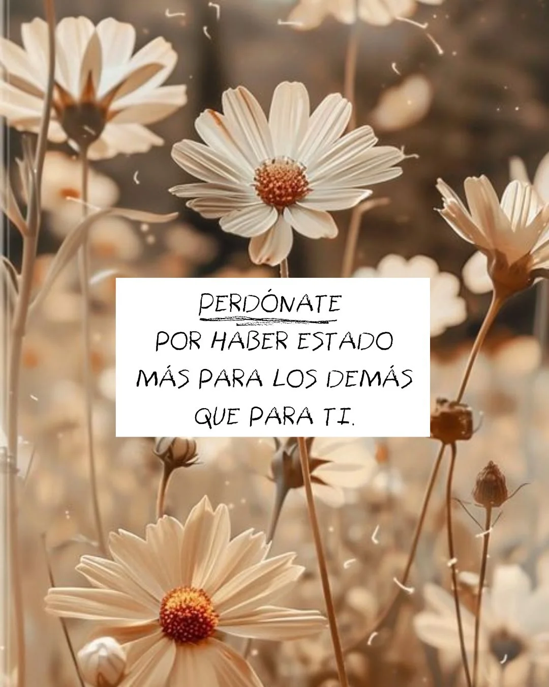 Photo by ILUSTRACIONES - DIBUJOS on March 12, 2026. May be a meme of text that says 'PERDÓNATE PORHABERESTADO POR HABER ESTADO MÁS PARA LOS DEMÁS QUE PARA TI.'.