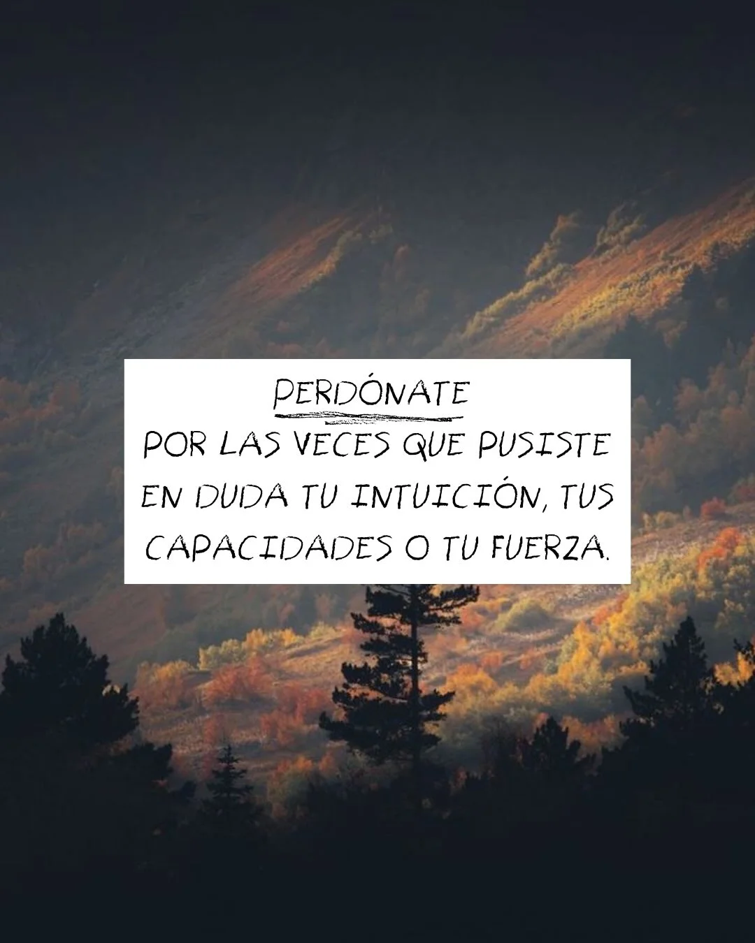 Photo by ILUSTRACIONES - DIBUJOS on March 12, 2026. May be a meme of text that says 'PERDÓNATE POR LAS VECES QUE DUSISTE EN DUDA τυ INTUICIÓN, TUS CAPACIDADES o τυ FUERZA.'.