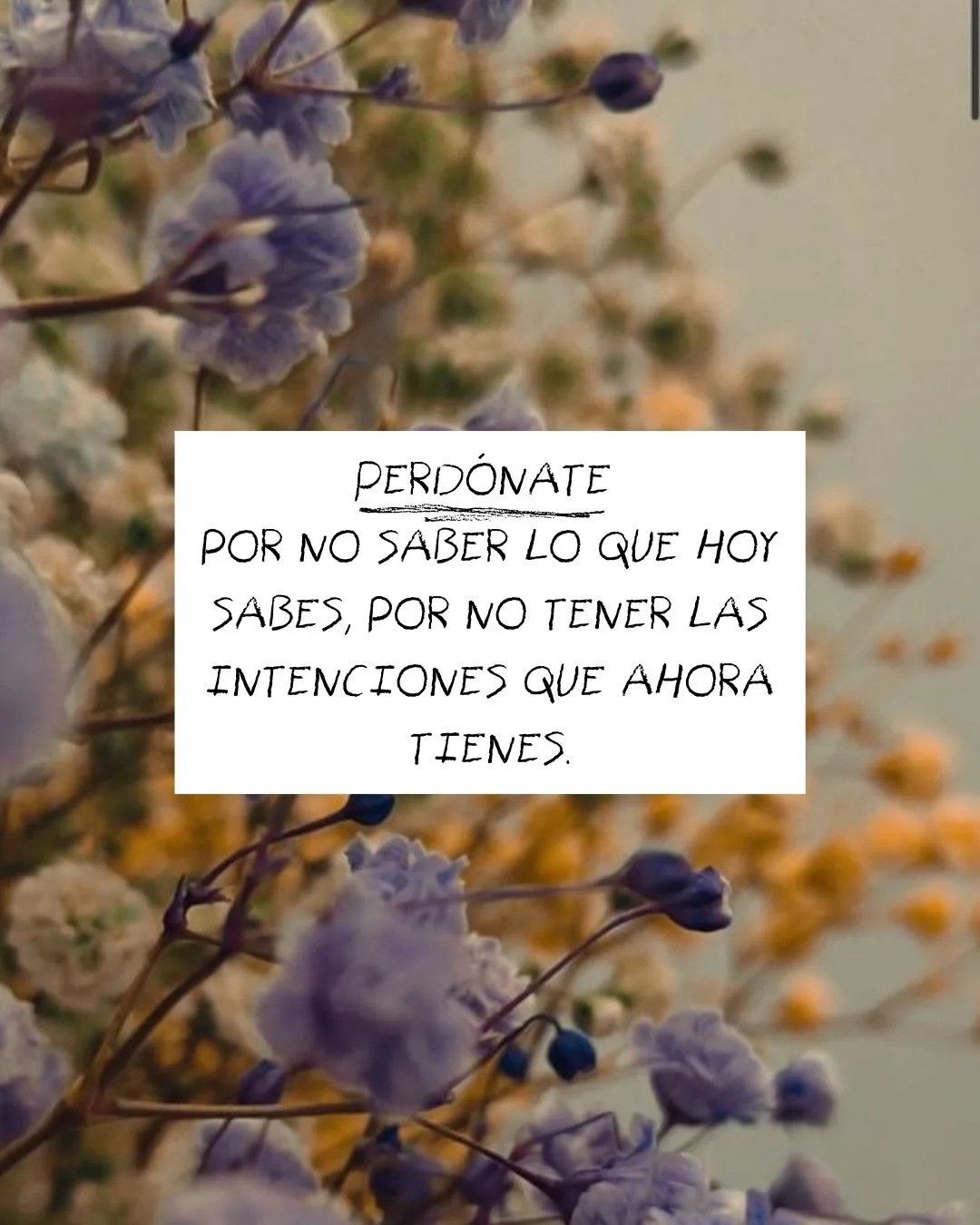 Photo by ILUSTRACIONES - DIBUJOS on March 12, 2026. May be a meme of baby's-breath, scorpion grass and text that says 'PERDÓNATE POR NO VO SABER LO QUE HOY SABES, POR NO TENER LAS INTENCIONES QUE AHORA TIENES.'.