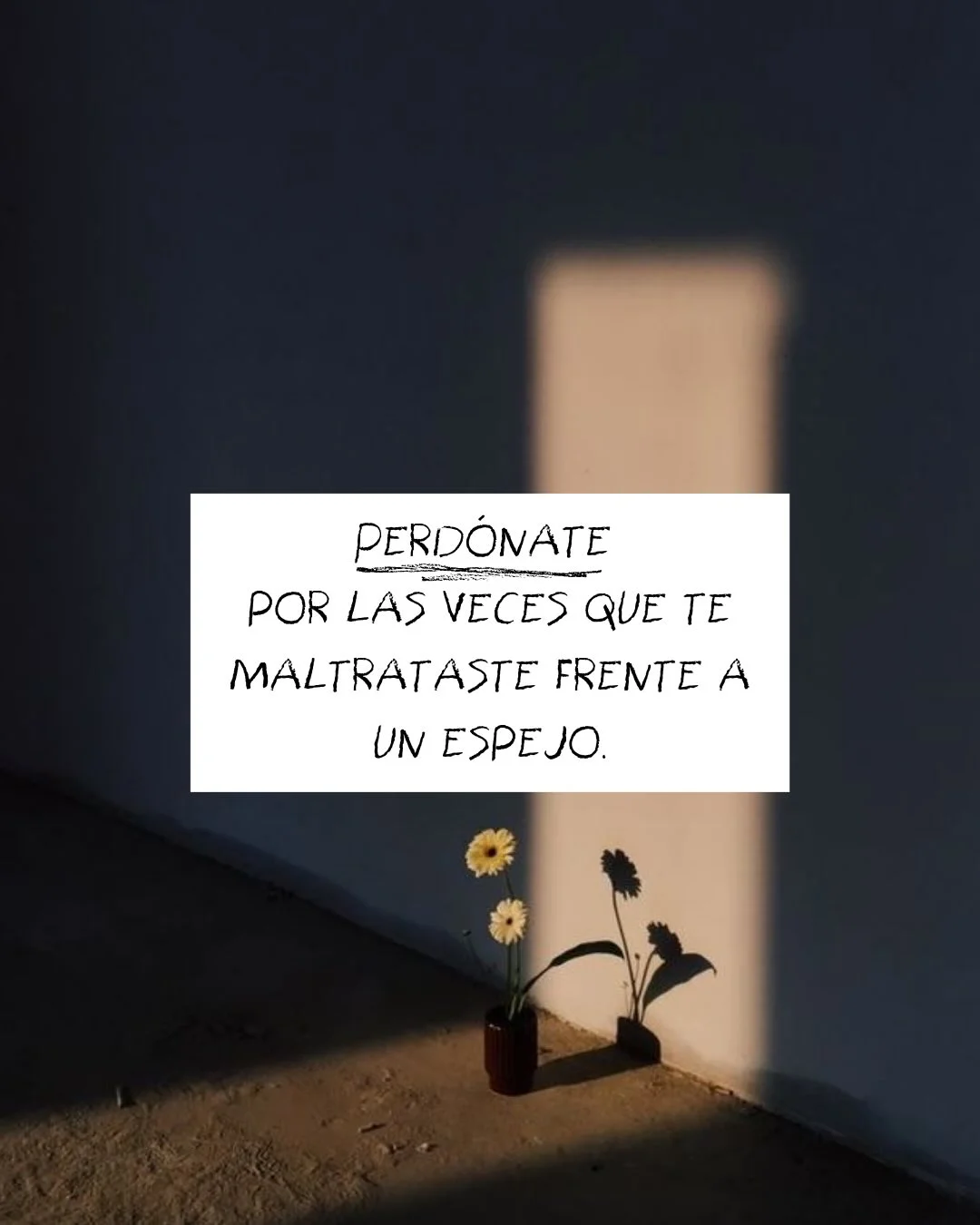 Photo by ILUSTRACIONES - DIBUJOS on March 12, 2026. May be a meme of text that says 'PERDÓNATE POR LAS VECES QUE TE MALTRATASTE FRENTE A UN ESPEJO.'.