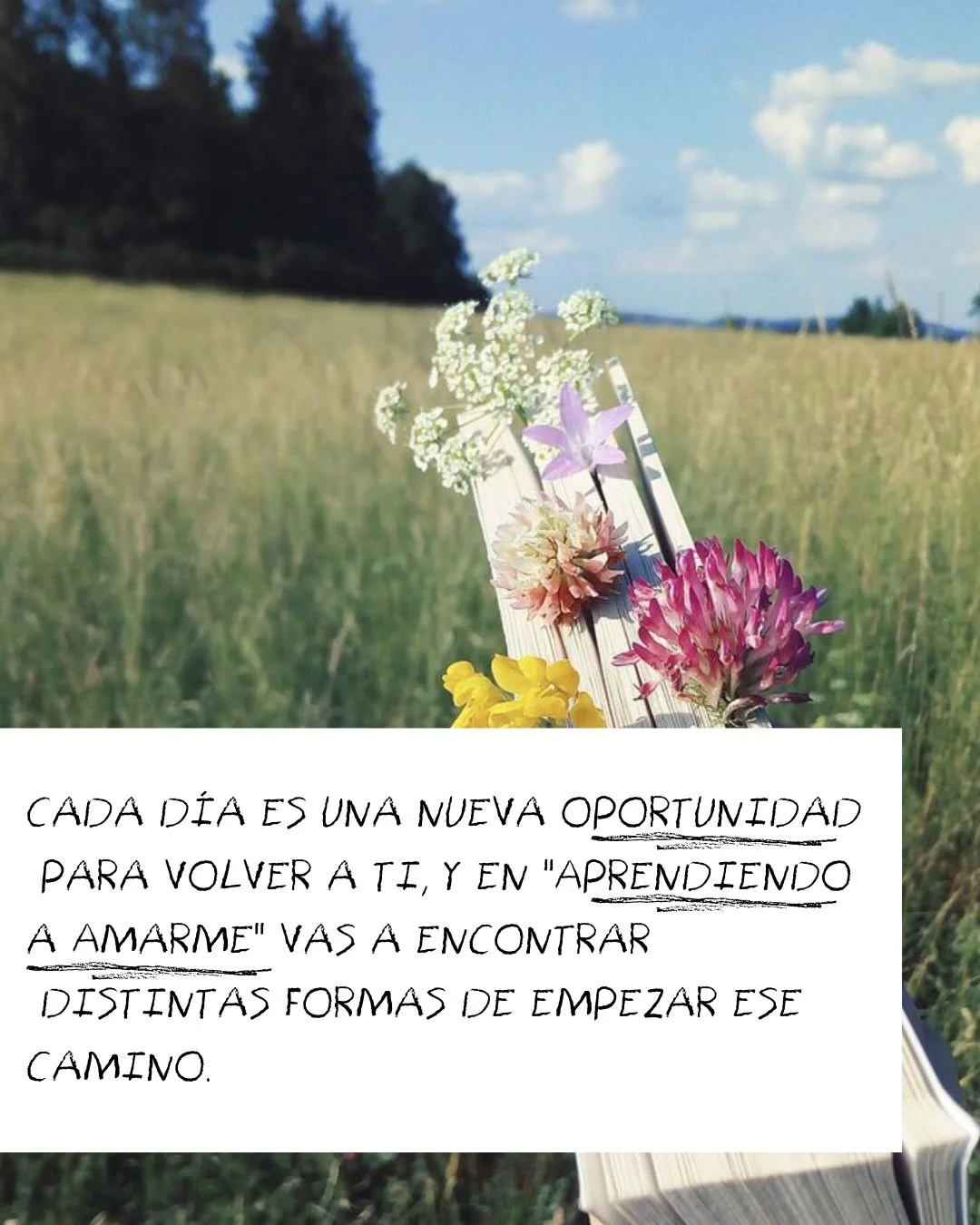 Photo by ILUSTRACIONES - DIBUJOS on March 12, 2026. May be an image of book, dandelion, grass and text that says 'CADA DÍA ES UNA NUEVA OPORTUNIDAD PARA VOLVER A TI, EN "APRENDIENDO A AMARME" VAS A ENCONTRAR DISTINTAS FORMAS DE EMPEZAR ESE CAMINO.'.