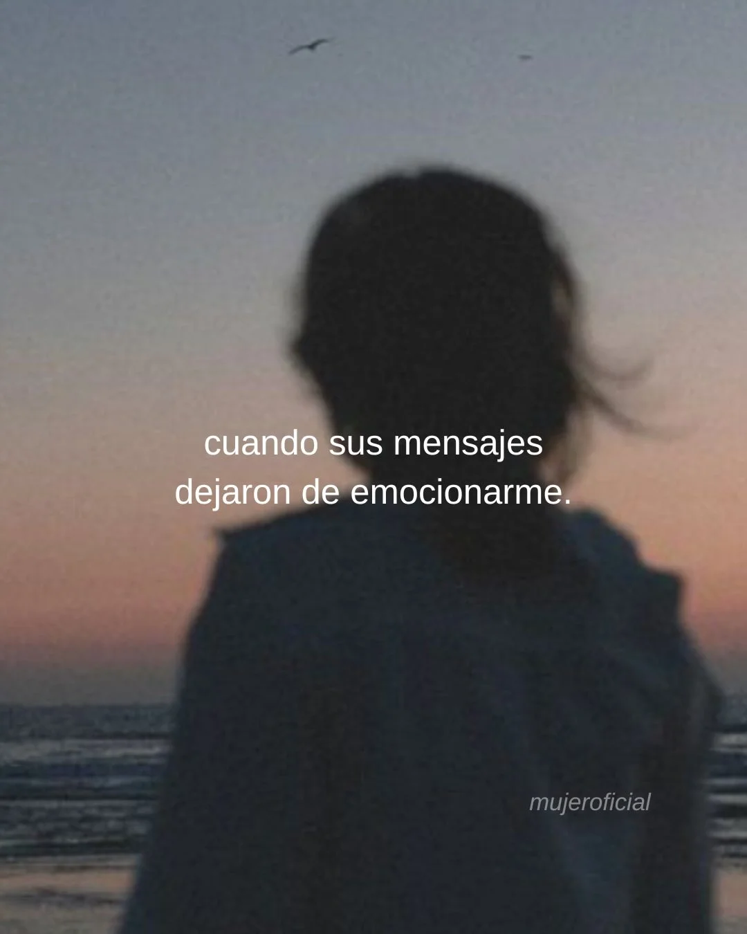 Photo by ILUSTRACIONES - DIBUJOS on March 05, 2026. May be a meme of text that says 'cuando sus mensajes dejaron de emocionarme. mujeroficial'.
