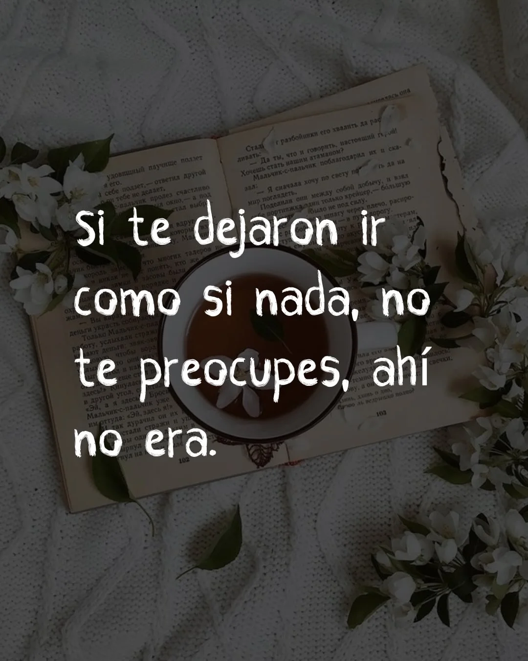 Photo by ILUSTRACIONES - DIBUJOS on March 10, 2026. May be a meme of text that says 'Si te dejaron ir como si nada, no te preocupes, ahí no era.'.