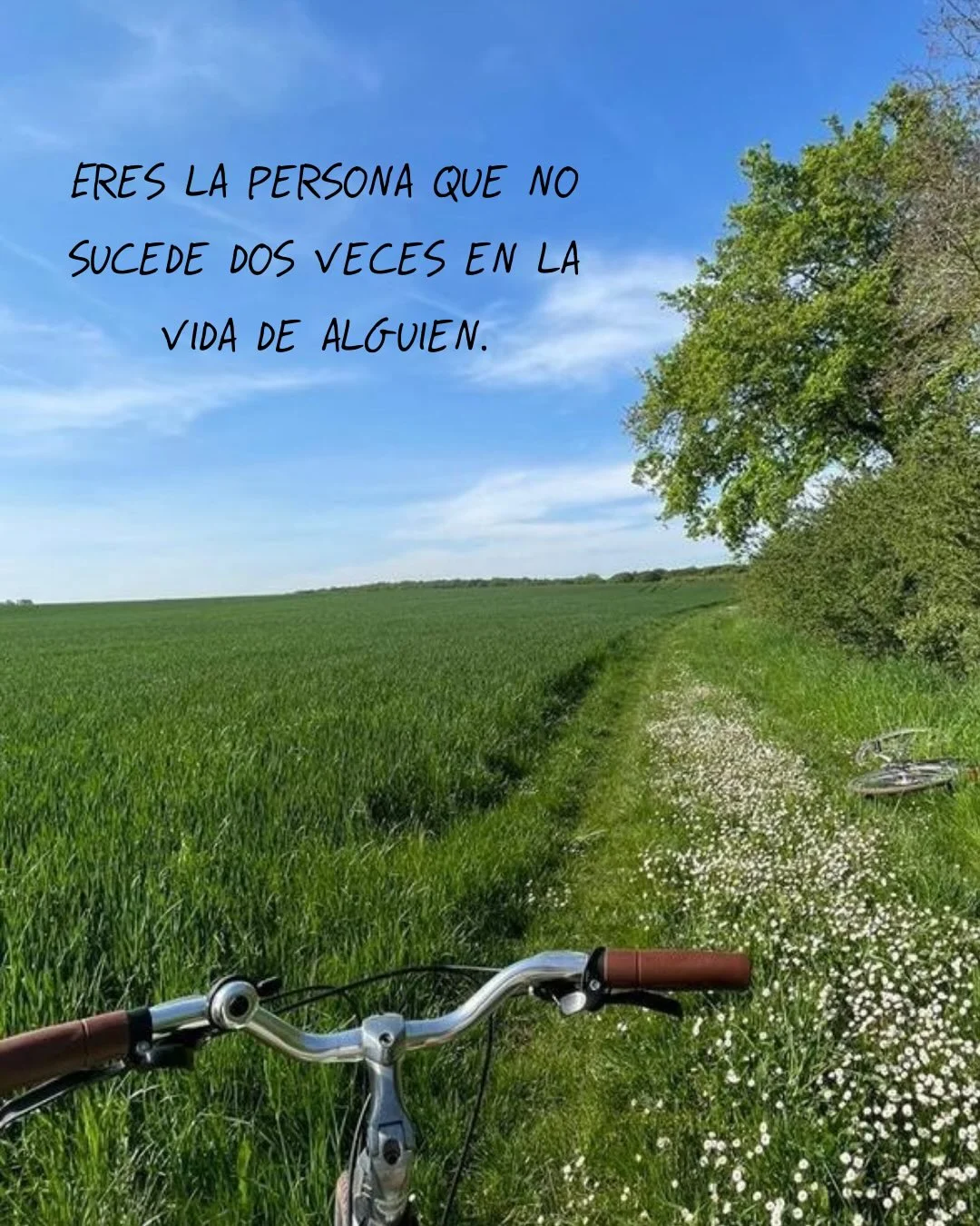 Photo by ILUSTRACIONES - DIBUJOS on March 18, 2026. May be an image of bicycle, grass, horizon and text that says 'ERES LA PERSONA QUE ERESLAPERSONAQUEN NO SUCEDE DOS VECES EN LA VIDA DE ALGUIEN.'.