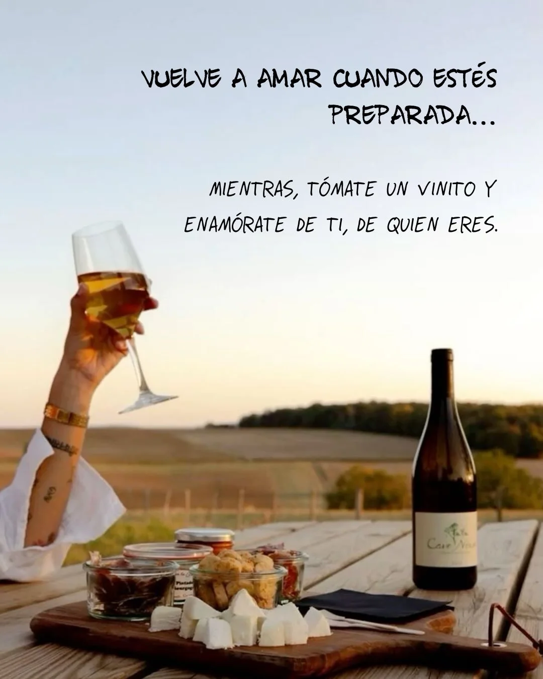 Photo by ILUSTRACIONES - DIBUJOS on March 18, 2026. May be an image of champagne, wine bottle and text that says 'VUELVE A AMAR CUANDO ESTÉS PREPARADA... MIENTRAS, TOMATE TÓMATE UN ENAMÓRATE DE τι, DE QUIEN ERES ۲ CarNa Car'.